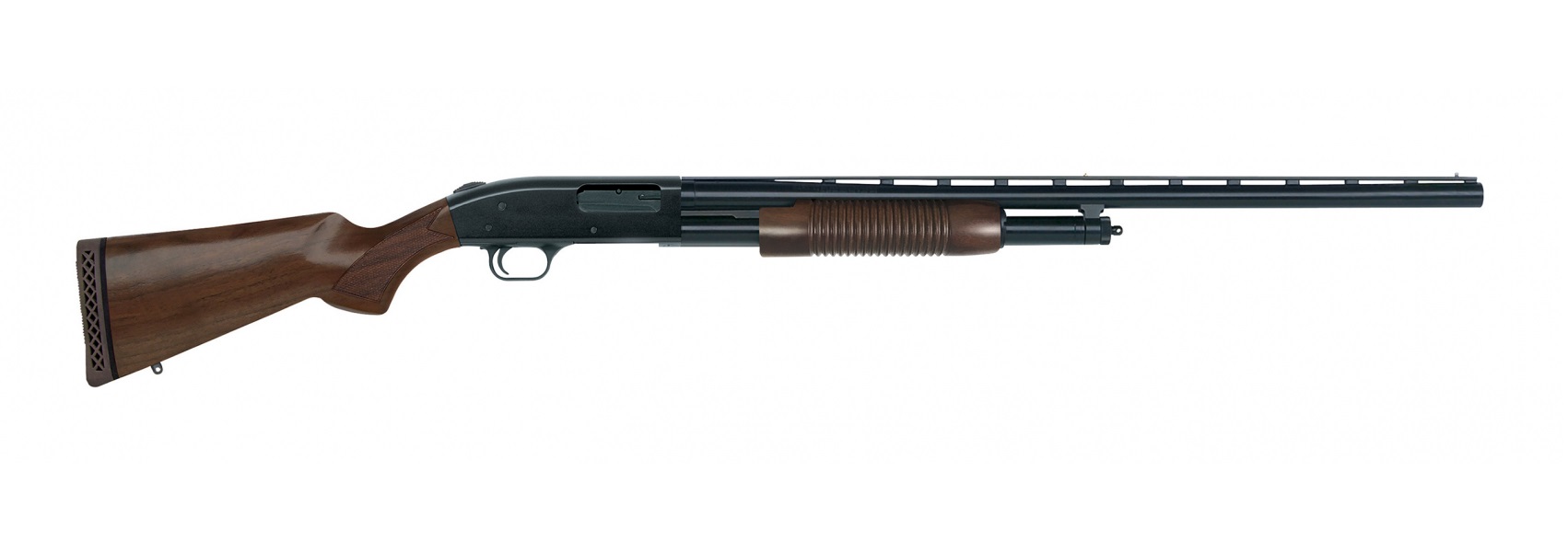 Mb50430