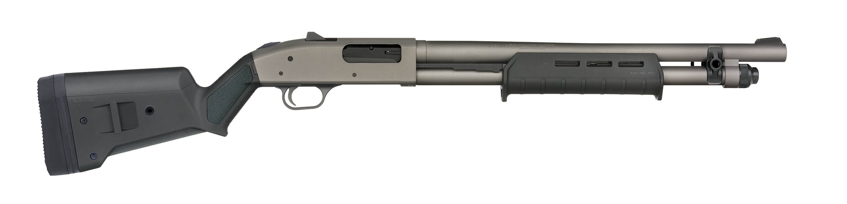 Mb50795