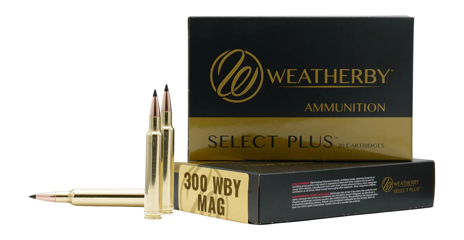 Wbm300170hcb