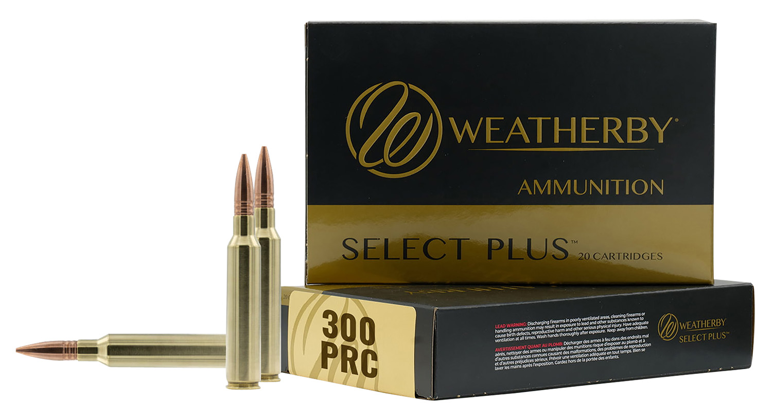 Wbf300p180sco
