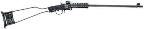 Ci500110
