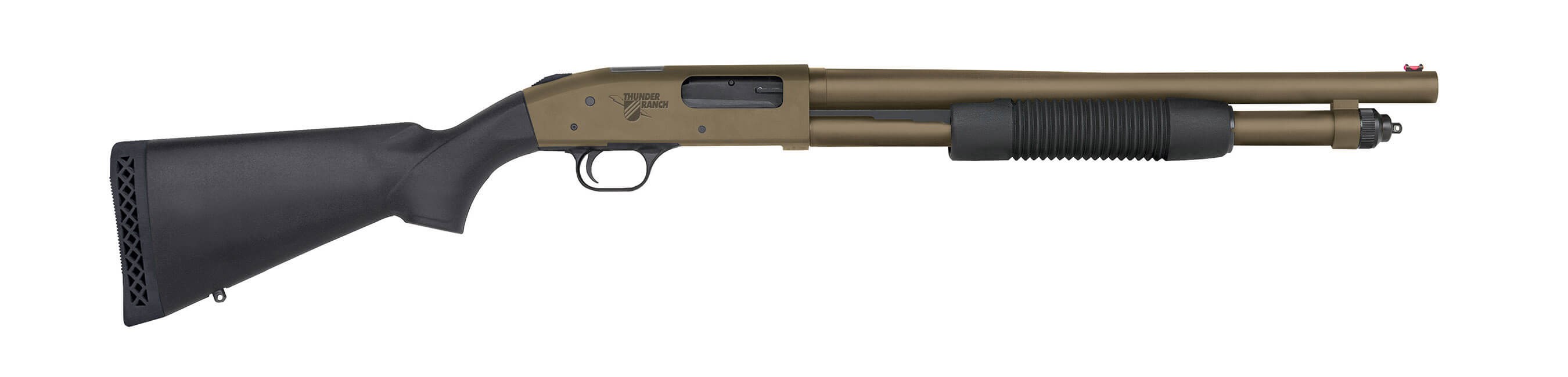 Mb50781